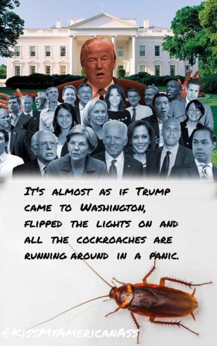 WashingtonCockroaches