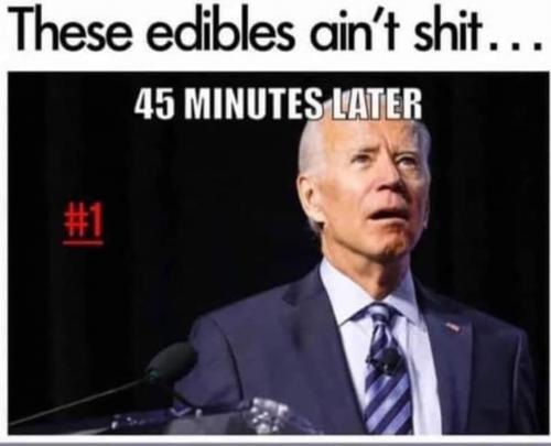 242217408_10218993896270570_5732424096223710447_n