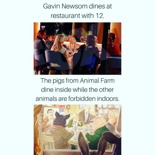 newsom