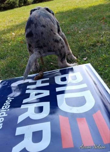 5A310541-6FDB-4AC9-9D65-6179419452A0