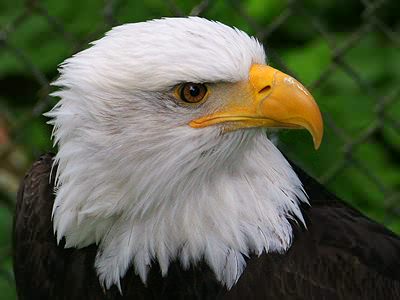 96D5AE06-7ABE-4293-B92F-60A87CCB6C76