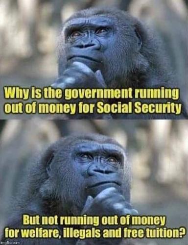 F money