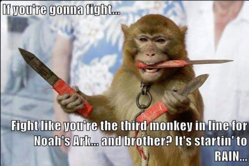 If you are going to fight