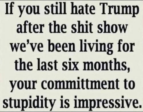 Screenshot_20210910-195255_Gmail