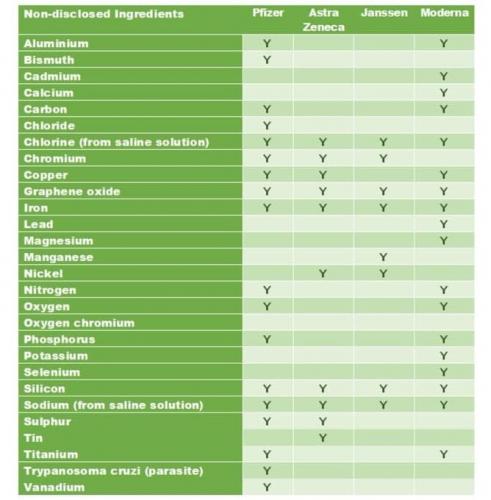 photo_2021-09-01_08-45-16