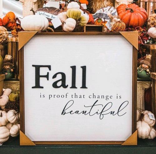 image_06fdbc34-63a9-4744-bd45-6a8d3b4cf8b320210922_101138