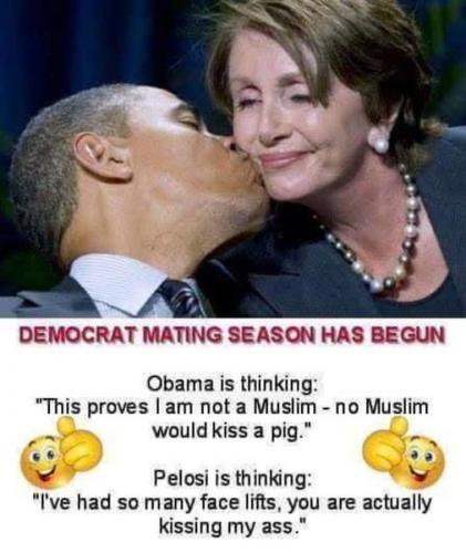 DEMOCRAT MATING SEASON