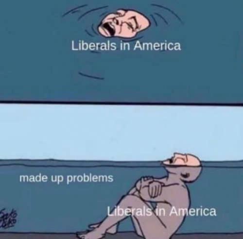 liberals-in-america-drowning-in-made-up-problems