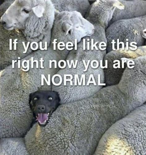 normal