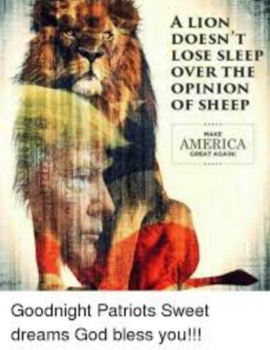 Screenshot_20210925-032855_DuckDuckGo