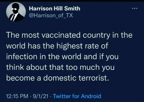 domestic terrorist