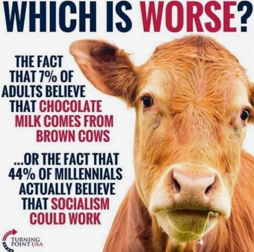 image_1631602821.267