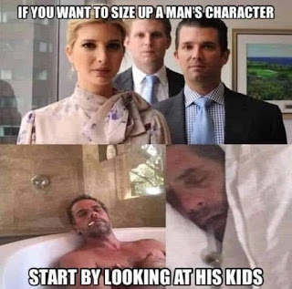 1 (23)