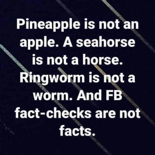 IMG_20210908_155007_487