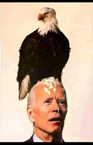 91E0A058-59BC-44E8-AD51-3EDEF6B00339