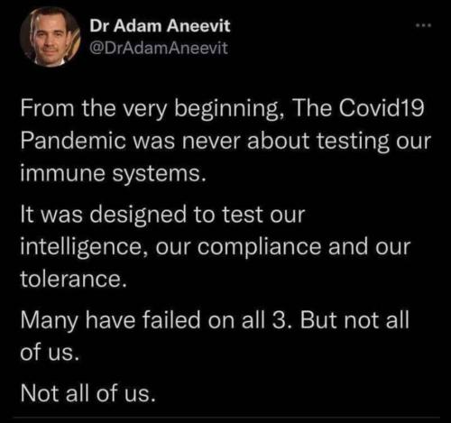 TestingIntelligence1