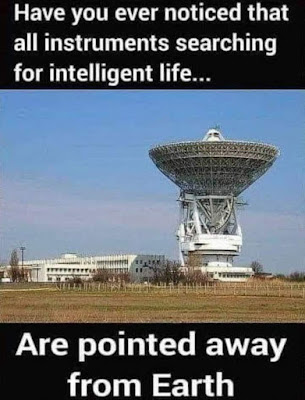 161893078_800750493986585_2019360100730414723_n