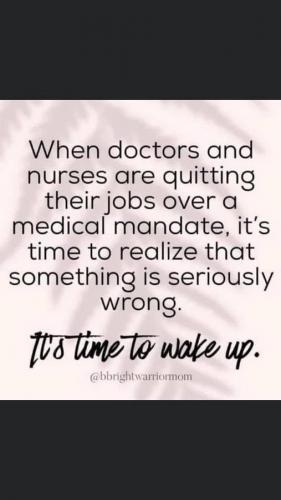 850BAC9B-16A1-4209-BA64-198F16F3729D