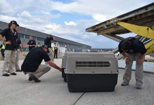 E668D442-C27B-4D09-895B-7869FDFF7B98