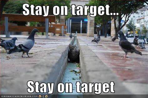 StayOnTarget