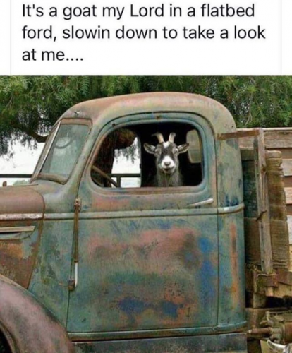 its a goat my lord