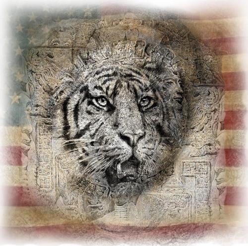tiger-on-american-flag