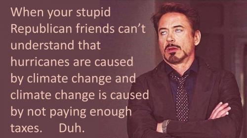 whenstupid