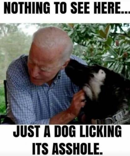 241750896_291213969477657_2773663693853257866_n