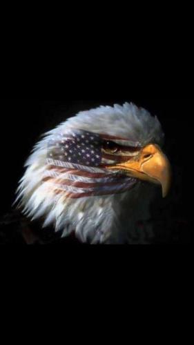 3BA392B5-00BC-4195-A95E-490E5116CE24