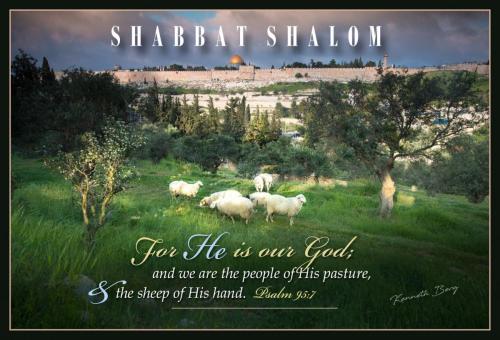 SHABBAT SHALOM Psalm 95-7 For HE is our God...