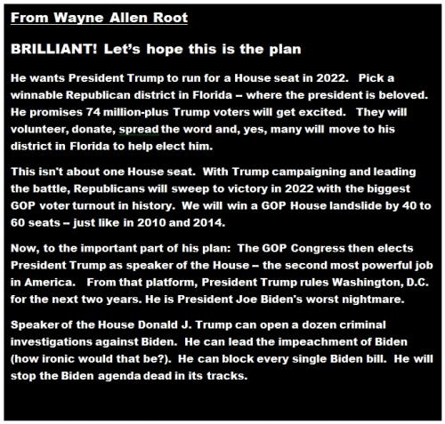Wayne Allen Root