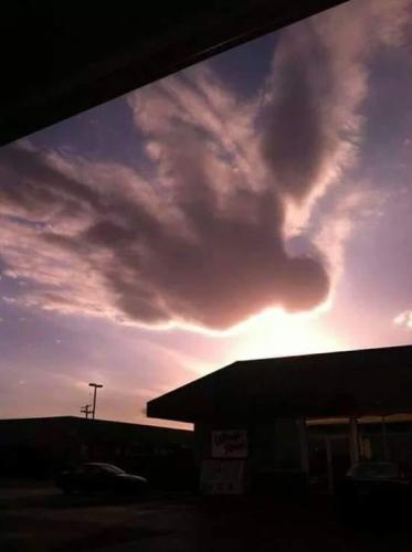 ANGELS FROM ABOVE