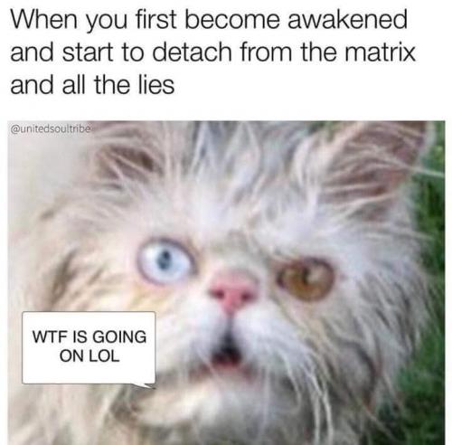 matrix