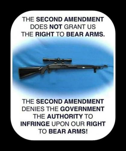 49ac05120fc27b4fb32fd72ccf11663e_500x0