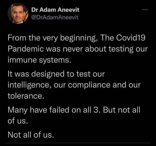 DR adam aneevit 128357234-570347268