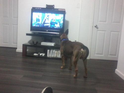 not liking the sounds he hears