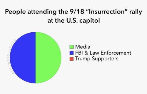 meme ppl atttending dc rally