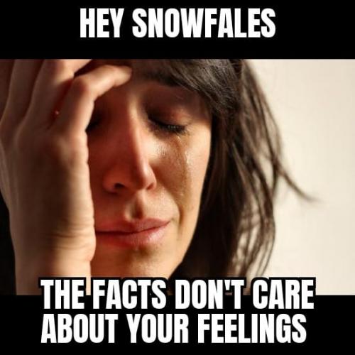 158912176_4021742661178824_4809538642694703320_n