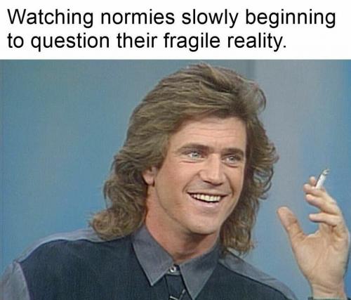 Watching Normies