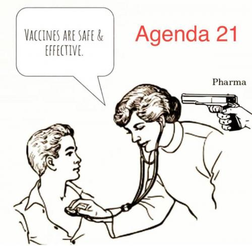 photo_2021-09-09_22-25-44