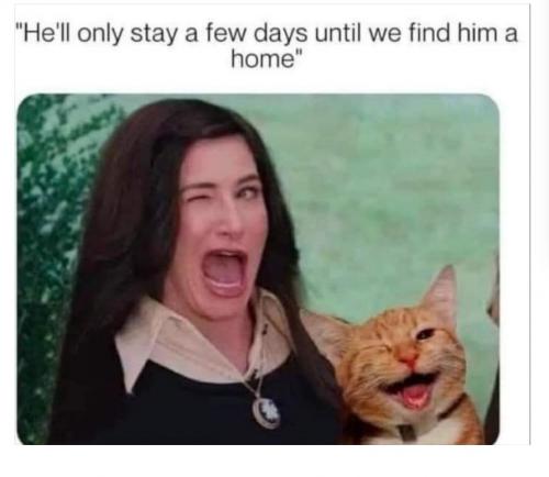 Screenshot_20210912-224806_DuckDuckGo