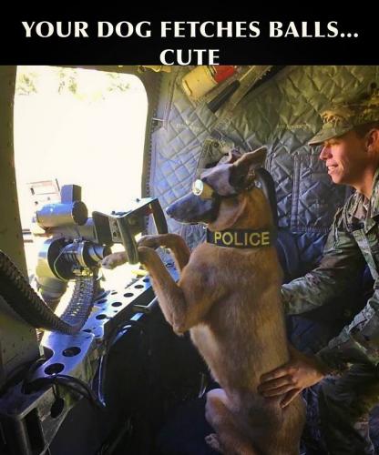 F3C4DAD8-2EB0-44DA-828E-78008DCDAD73