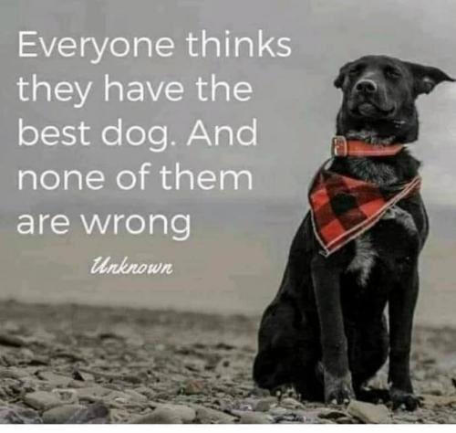 199984232_4264491883608768_4715561418434271810_n