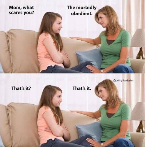 photo_2021-09-10_23-46-25