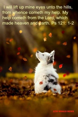 42364005_10213265940144079_698547671593385984_n