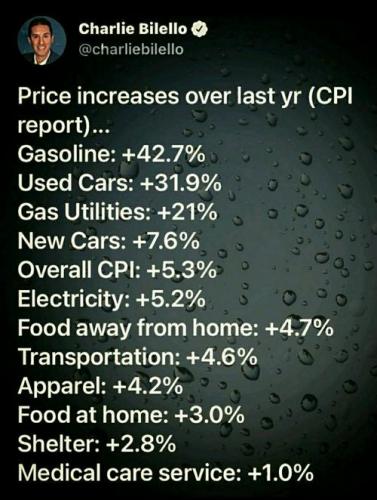 f80315726b7e162e7a82f8d683bd574e_500x0