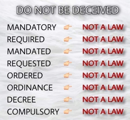 d8e0e14102cc8fe983dbe9132afa956b_500x0