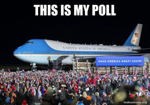 poll