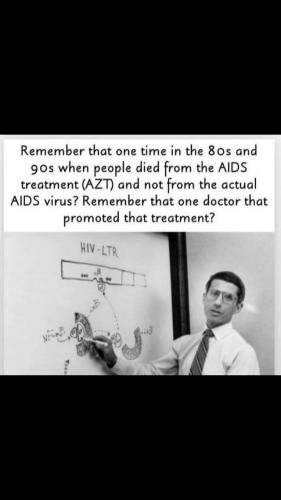 241155469_560592014991151_6622879790151805288_n