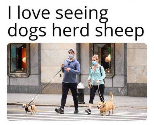 photo_2021-09-17_18-55-01